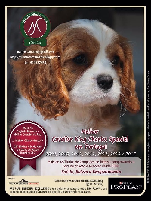 MONTE SANTA MARIA KENNEL